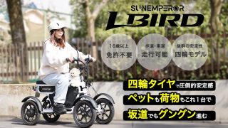 LBIRDのイメージ