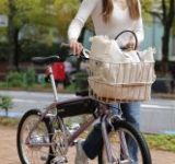 WOの都市型e-BIKE「GLISSE」が型式認定に合格！街乗りがもっと安心・快適に！