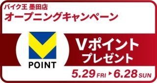 Vポイントプレゼントキャンペーン