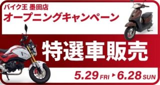オープニング特選車販売