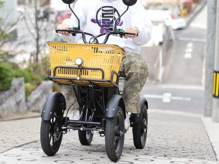 バスケット付きLBIRD