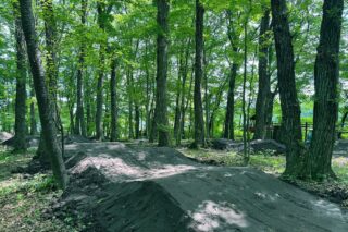 緑豊かな森の中に、マウンテンバイクやBMX用のダートコース