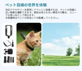 ペット目線の世界を体験
