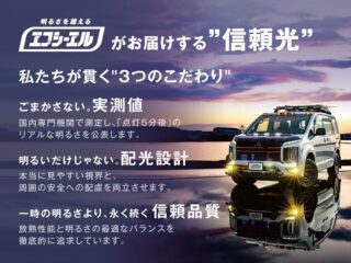 信頼光