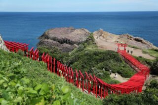 赤い鳥居が連なる元乃隅神社