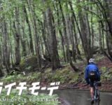 半年だけの特別な旅！白神山地を五感で楽しむ『シライチモーデ2026』に参加しよう！