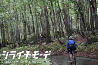 森の中を自転車で進むサイクリスト