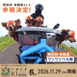 ワンワンベル隊